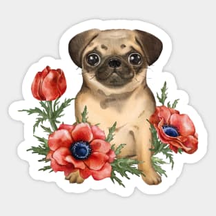 Cute pug puppy with anemones Sticker